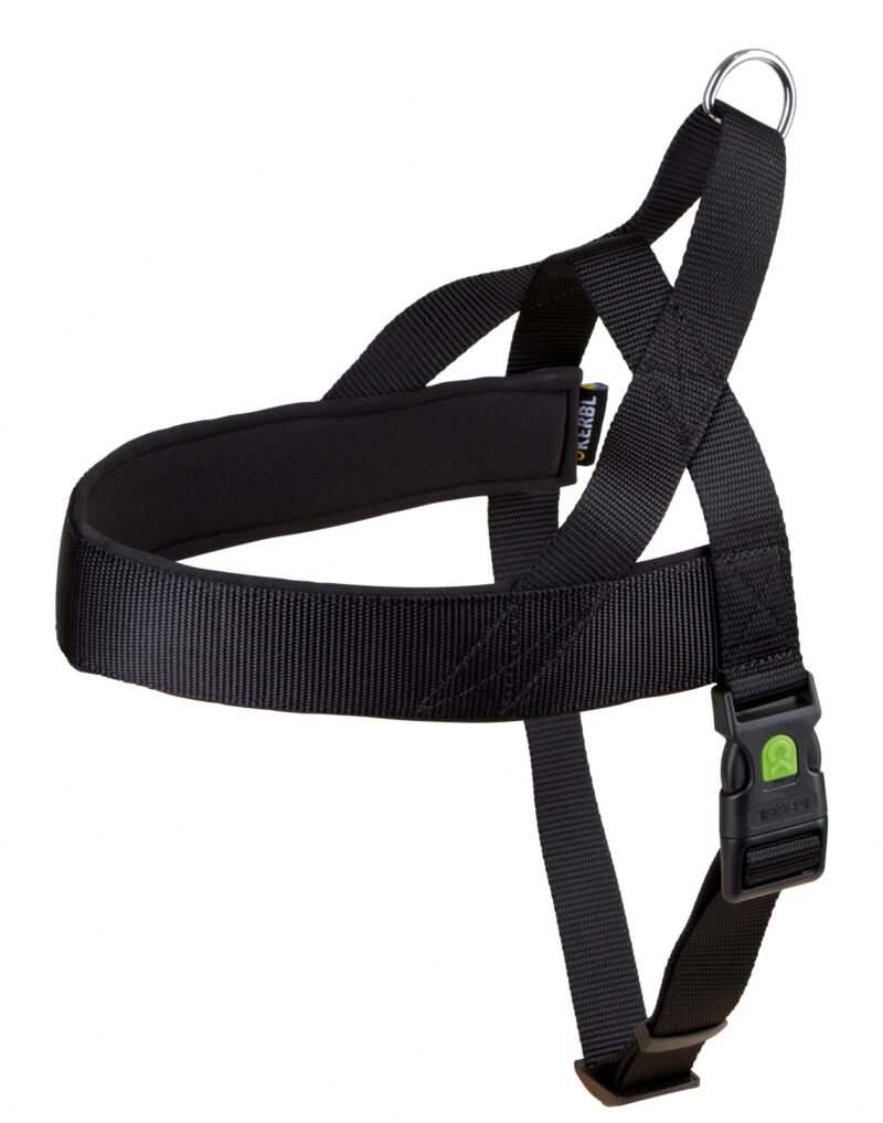 Harness Miami Plus