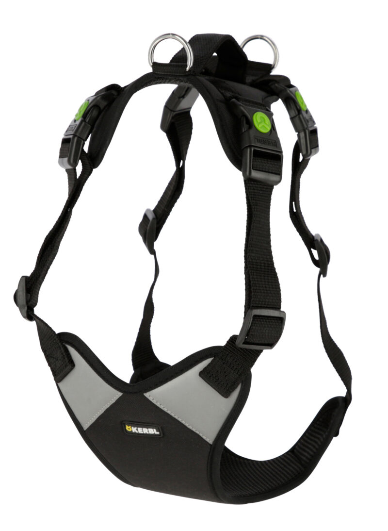 Harness Pulsive