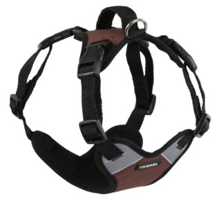 Harness Pulsive