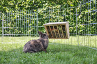 Hay Rack