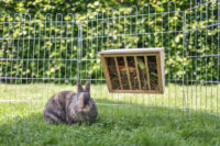 Hay Rack