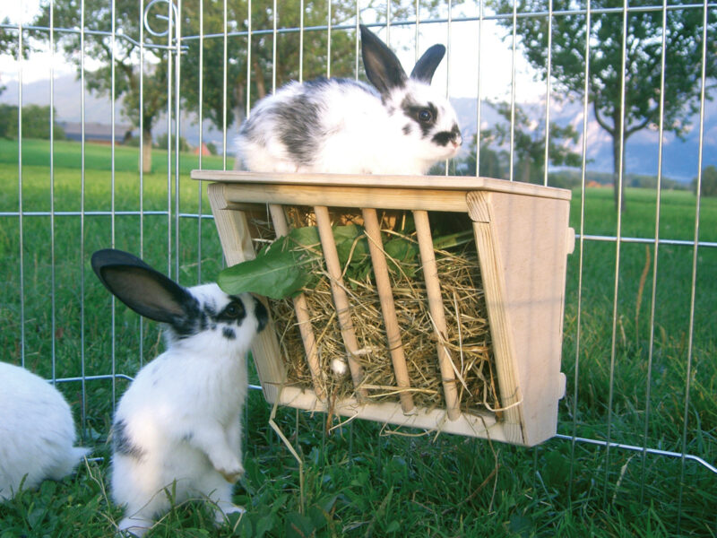 Hay Rack