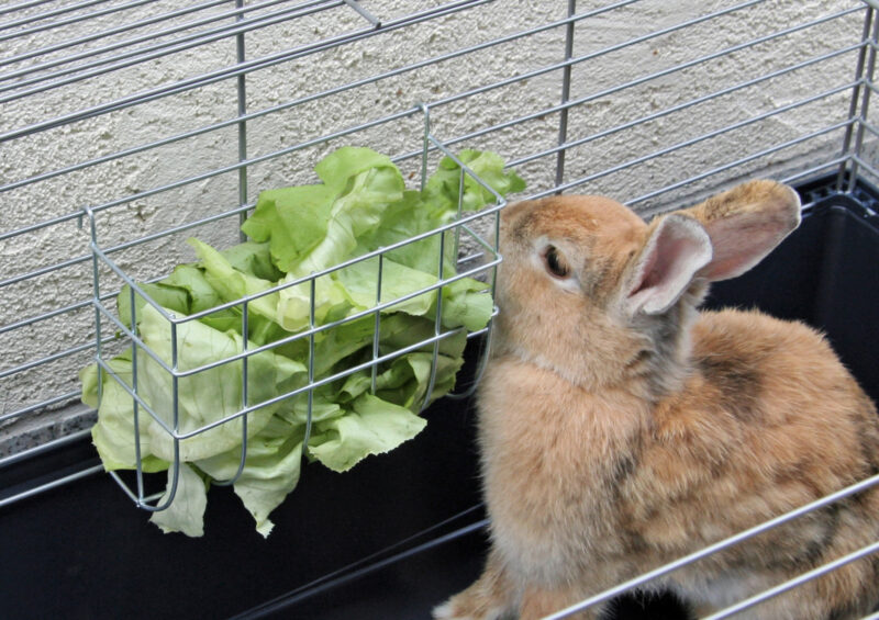 Hay Rack