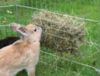 Hay Rack