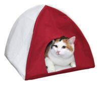 Igloo Tipi