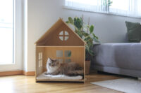 Indoor cat house Yvi