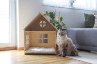 Indoor cat house Yvi