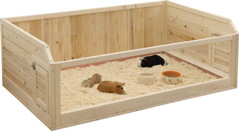 Indoor small animal house