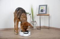 Intelligent Pet Bowl mit integrierter Waage