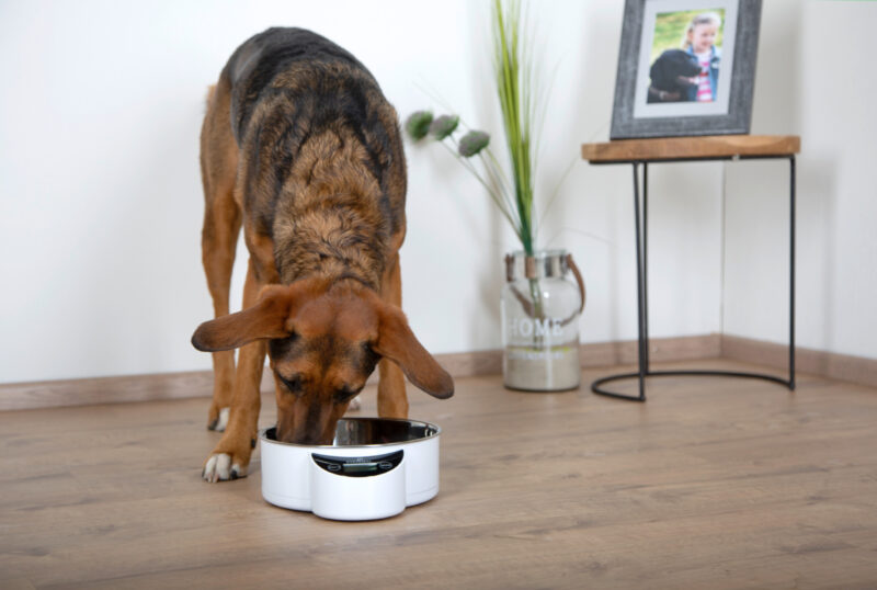 Intelligent Pet Bowl mit integrierter Waage