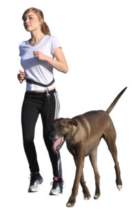 Jogging Leash with Hip Belt