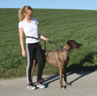 Jogging Leash with Hip Belt