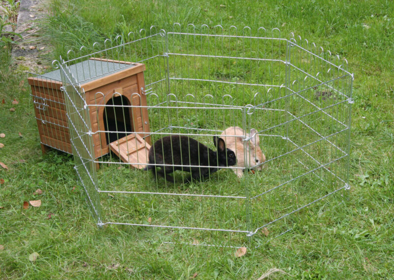 Kleintierhaus Outdoor