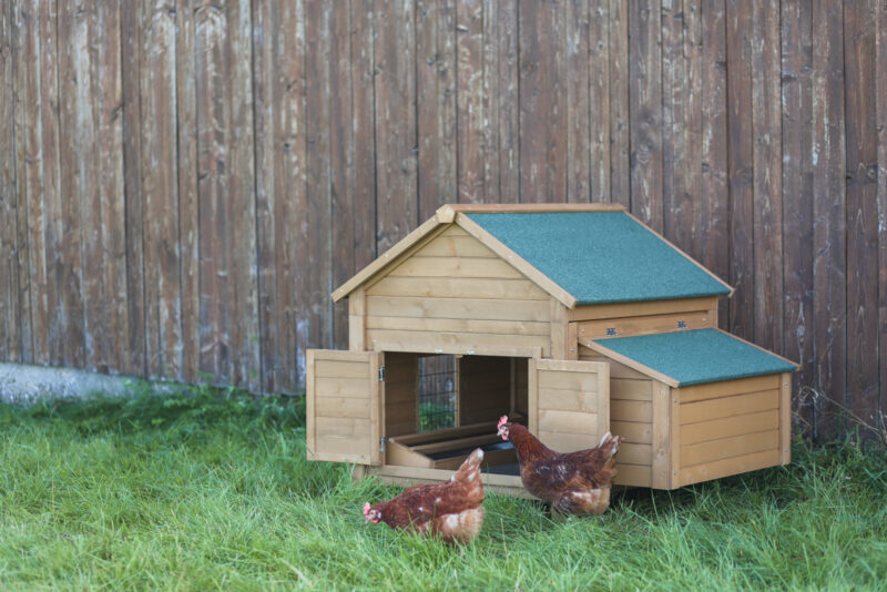 Kleintierstall für Kaninchen oder Hühner