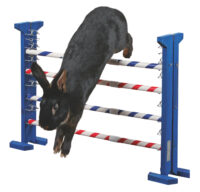 Kombisprung Agility