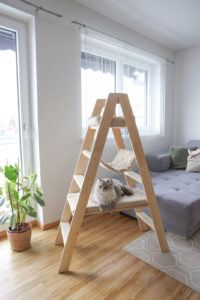 Kratzbaum Ladder