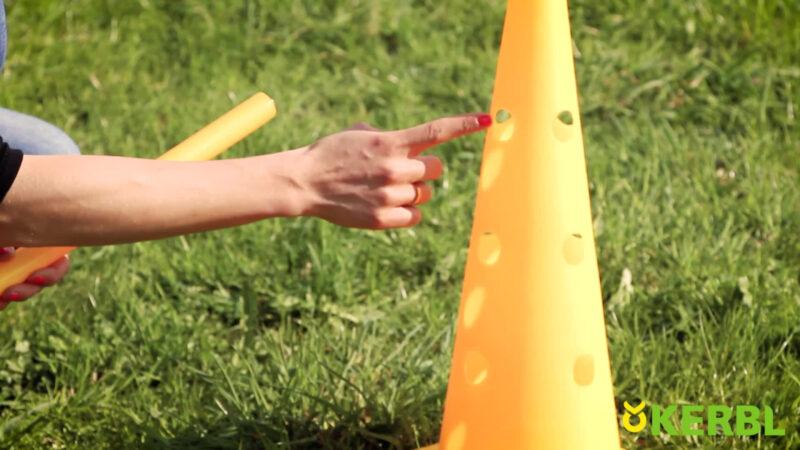 Lot de cônes et barres d'obstacles Agility