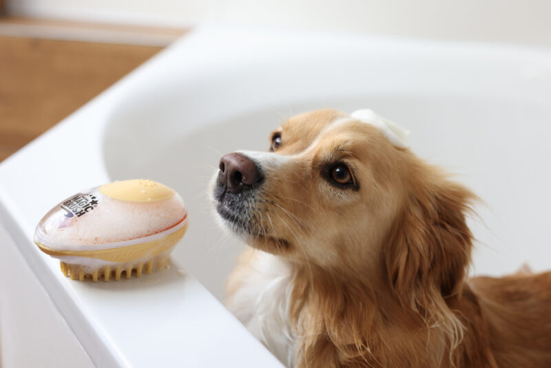 MagicBrush Bathing Brush