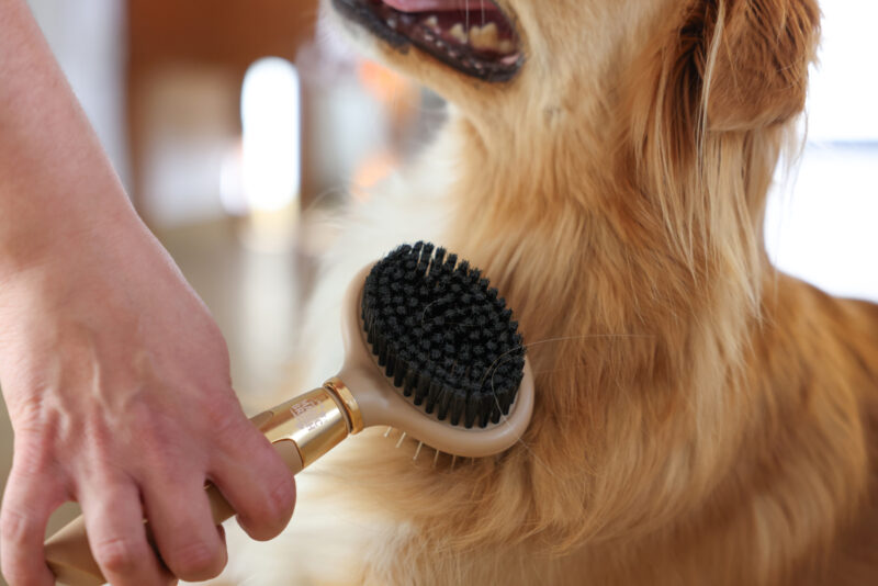 MagicBrush Double Brush