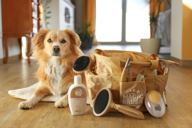 MagicBrush Hundeshampoo für dunkles Fell