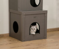 Maison de jeux pour chats ECO Alex