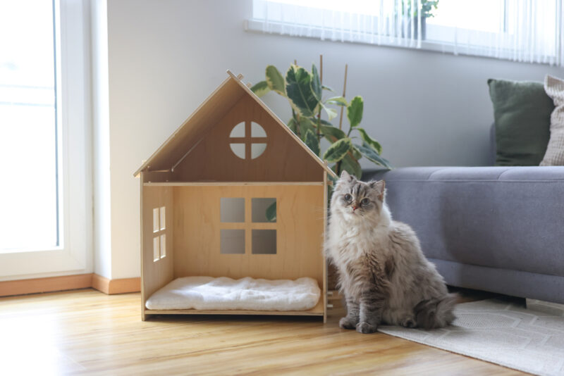 Maison intérieure pour chat Yvi