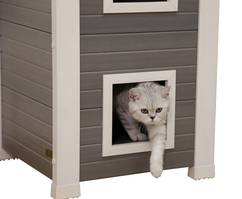 Maison pour chat ECO Emila