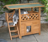 Maison pour chat Lodge