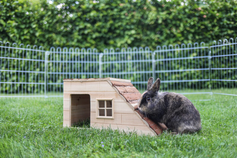 Maison pour rongeur avec rampe Nature