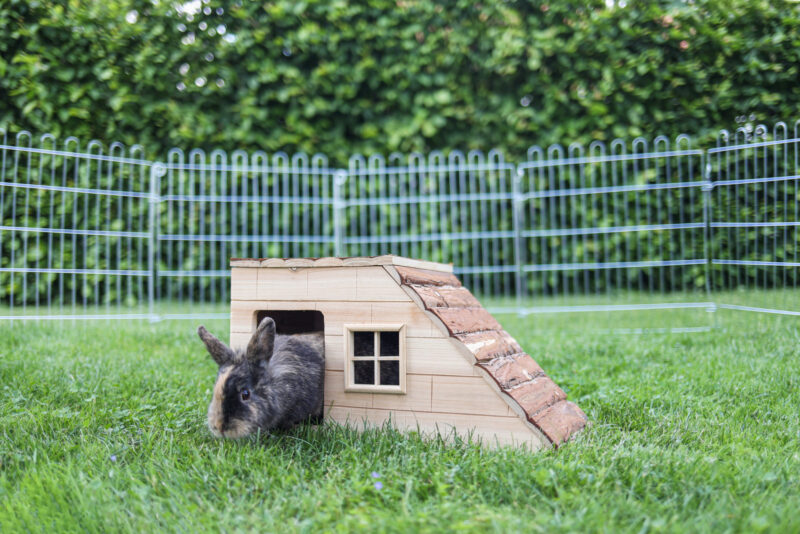 Maison pour rongeur avec rampe Nature