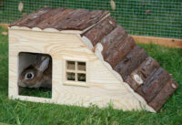 Maison pour rongeur avec rampe Nature