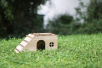 Maison pour rongeur avec rampe Nature