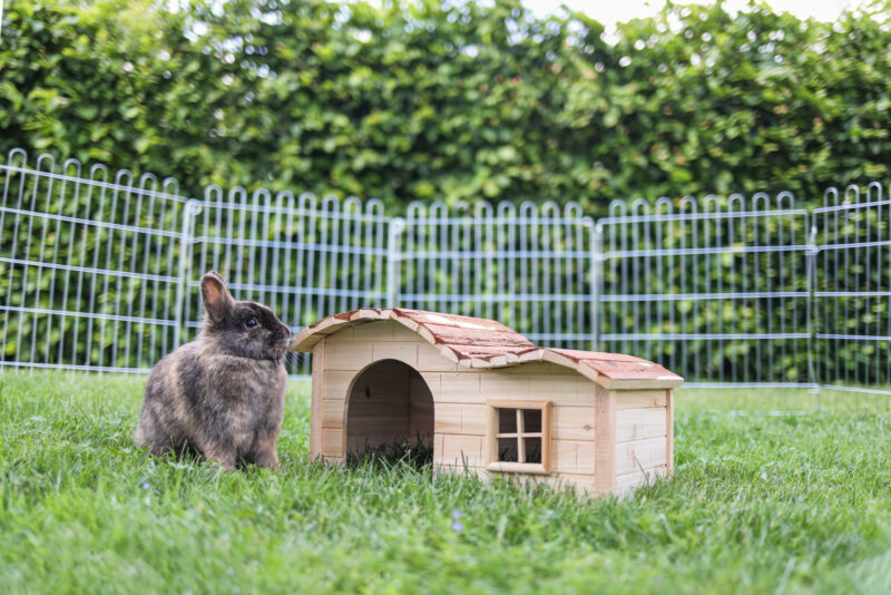 Maisonnette en forme de vague Nature