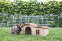 Maisonnette en forme de vague Nature