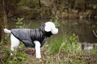 Manteau pour chien Quebec