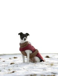 Manteau pour chien Royal Pets