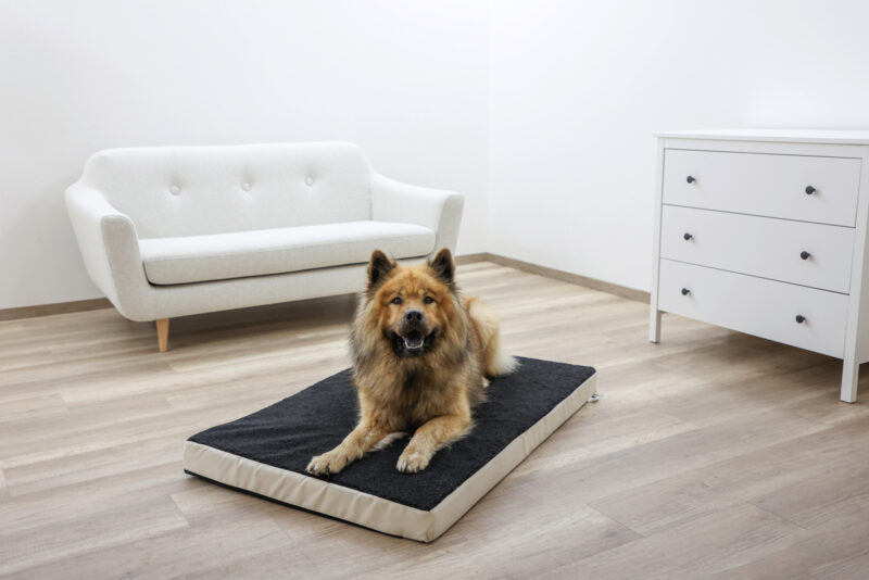 Matelas Memory-Foam