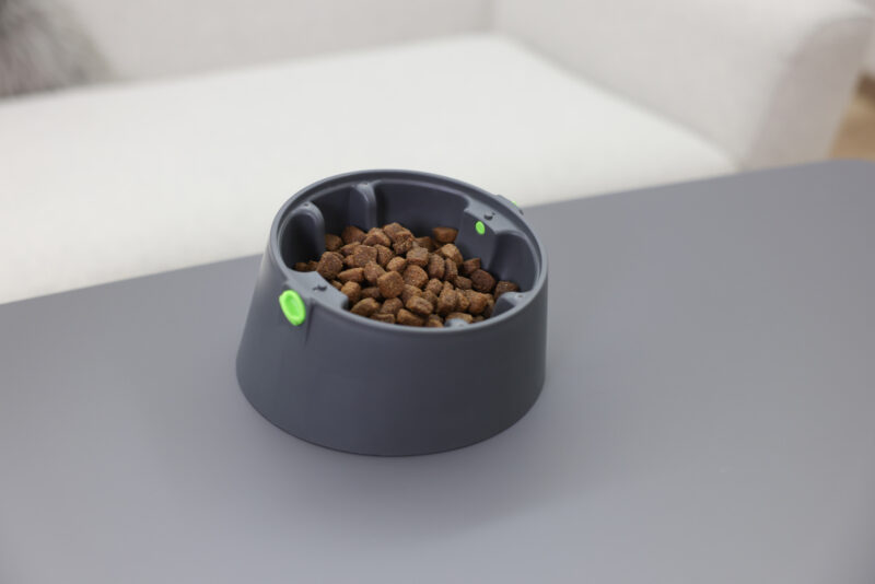 Multifeeder pour chien et chat