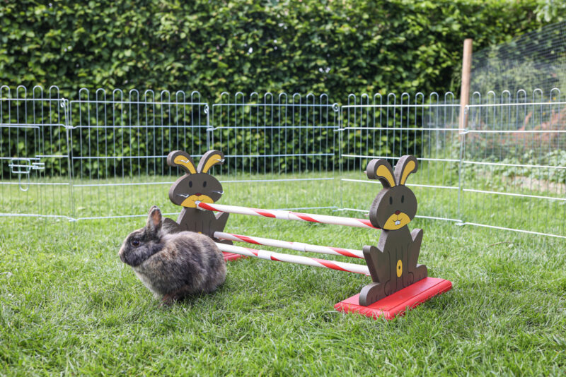 Nagerhürde Agility