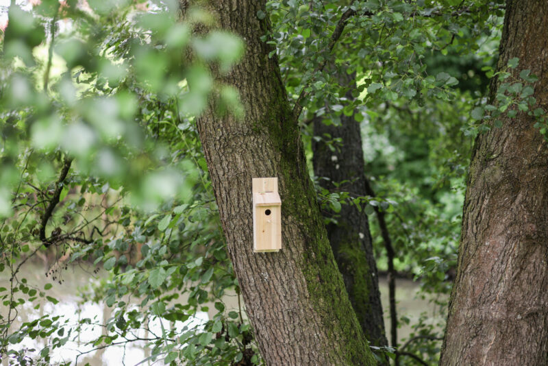 Nest box self-assembly kit