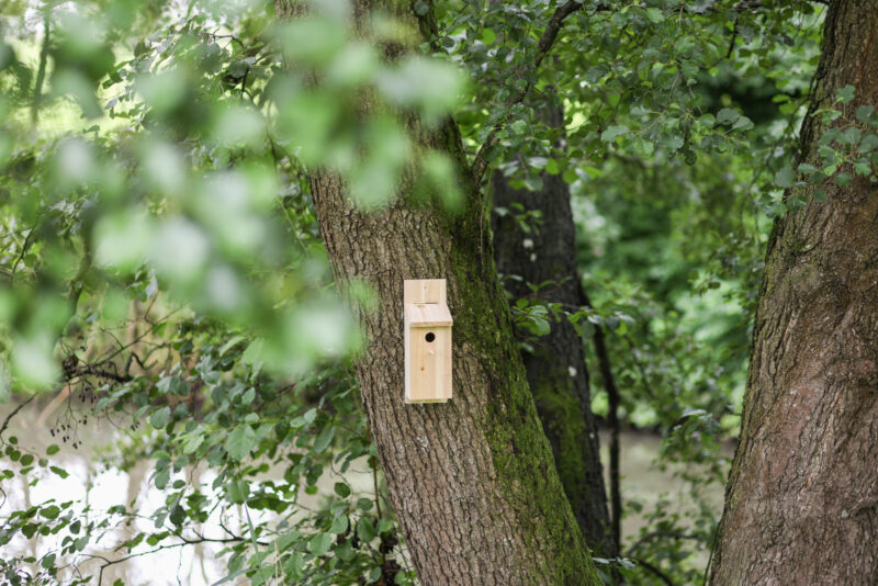 Nest box self-assembly kit