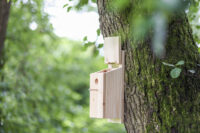 Nest box self-assembly kit