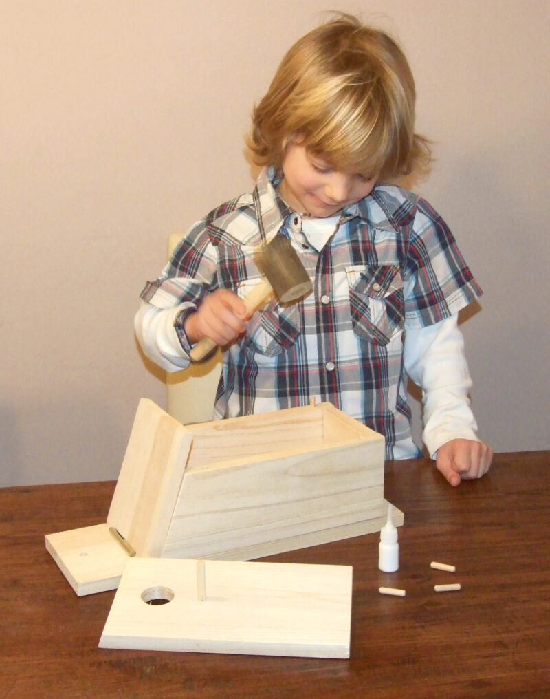 Nest box self-assembly kit