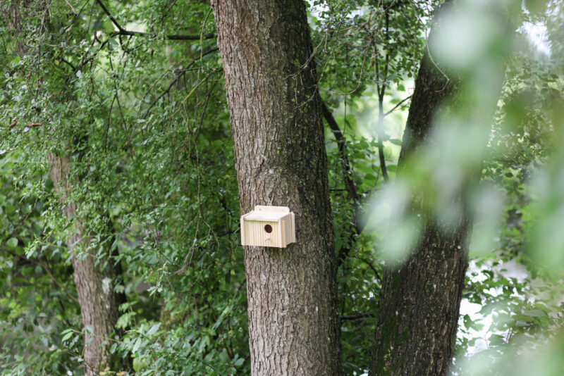 Nesting Box for Parakeets