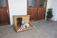 Niche pour chien avec terrasse