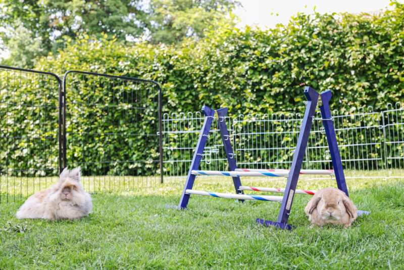 Obstacle combiné Agility