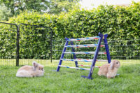 Obstacle combiné Agility