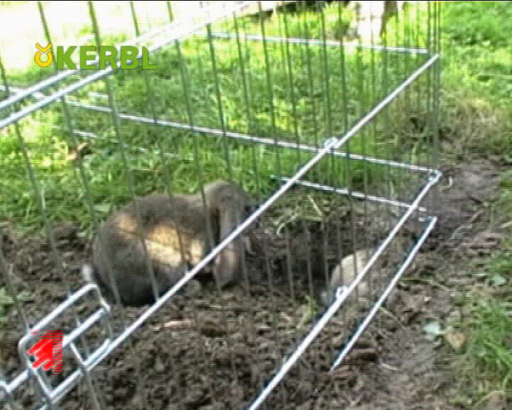 Open-air enclosure with breakout barrier