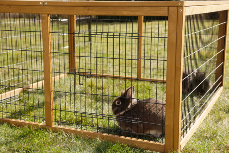 Open-air enclosure with breakout barrier