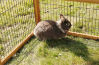 Open-air enclosure with breakout barrier